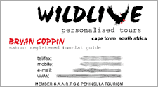 Wildlive Tours