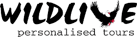 Wildlive Tours